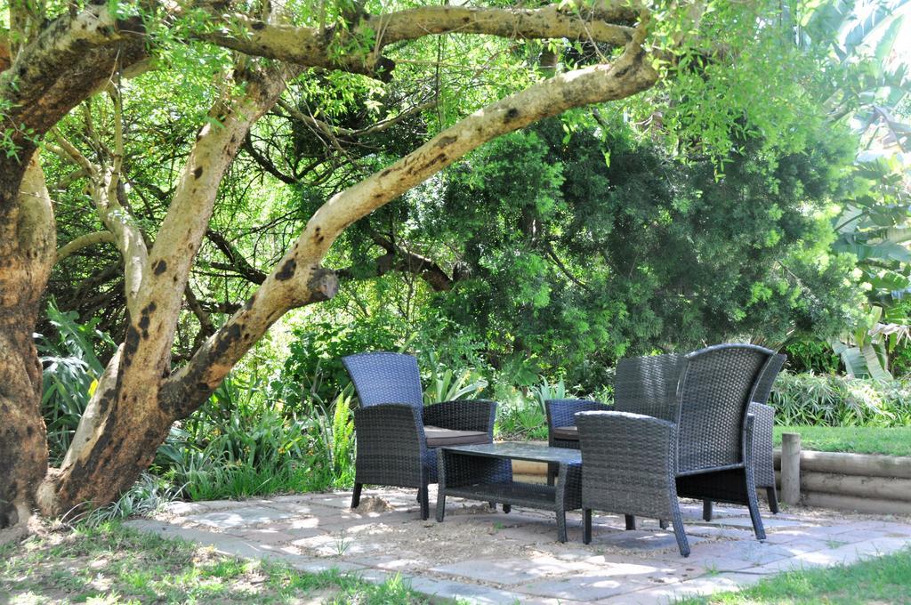 Umlambo River Lodge Kirkwood Exteriér fotografie