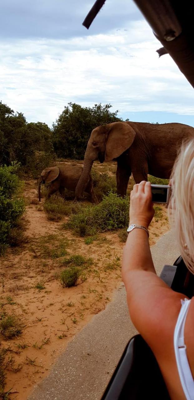 Umlambo River Lodge Kirkwood Exteriér fotografie